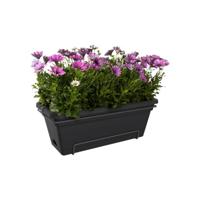 Elho green basic balkonbak XL 55 living black - thumbnail