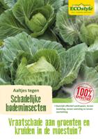 Ecostyle aaltjes tegen larven koolvlieg 60 m2 - thumbnail