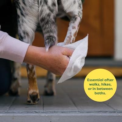 Earth Rated dog wipes geurloos composteerbaar - thumbnail