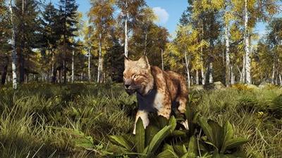 Way of the Hunter Wild Expeditions