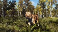Way of the Hunter Wild Expeditions - thumbnail