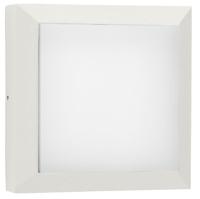 Albert Vierkante wandlamp buitenParel 32cm-wit - 686562 - thumbnail