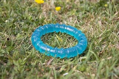 Rosewood 43102 BioSafe speelgoedring voor puppy's en kleine honden