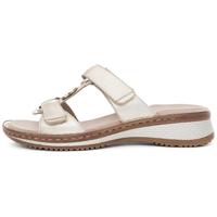 Ara 1229003 - alle - thumbnail