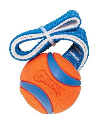 Chuckit! Ultra Tug M