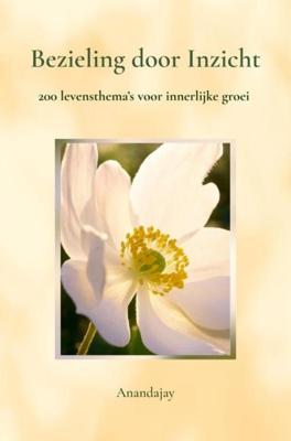 Bezieling door Inzicht - Anandajay _ - ebook