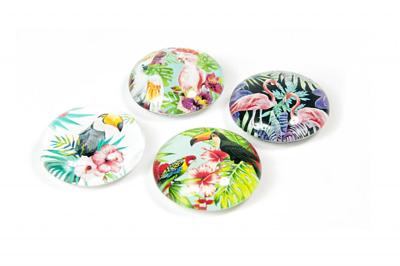 Trendform Magnet Eye - Jungle Bird - set van 4 verschillende