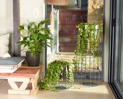 Pot - ARTEVASI - SAN REMO - 36 br - Antraciet