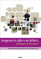 Jongeren in cijfers en letters - Nicole Vettenburg, Johan Deklerck, Jessy Siongers - ebook - thumbnail