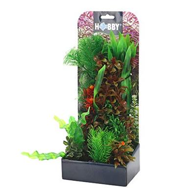 Plantasy set 6 decoratie planten Hobby Smulders - Smulders Plantasy set 6 decoratie planten Hobby Smulders - Smulders