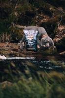 Carnilove salmon / turkey puppies - thumbnail