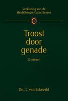 Troost door genade - J.J. van Eckeveld - eBook (9789462789760) - thumbnail