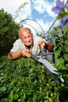 Fiskars PowerGear™ X HSX92 Heggenschaar Handmatig - thumbnail