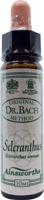 Ainsworths Scleranthus Bach 10 Milliliter - thumbnail