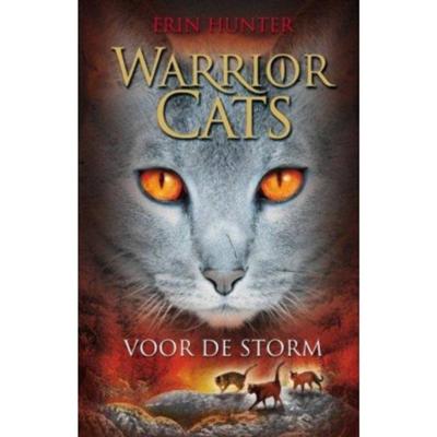 Voor de storm (Hardback)