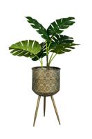 Dutchbone Plantenstandaard 'Botanique' 53cm - thumbnail