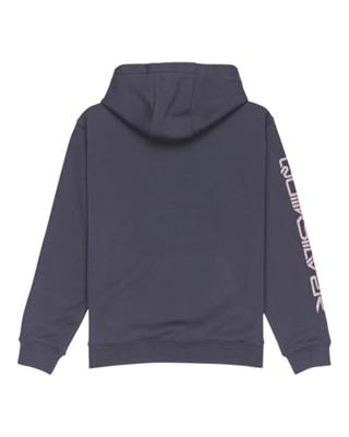 Quicksilver Omni Logo Hoodie Junior