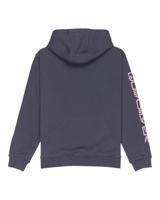 Quicksilver Omni Logo Hoodie Junior - thumbnail