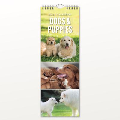Honden en Puppies Slimline Kalender 2026