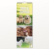 Honden en Puppies Slimline Kalender 2026 - thumbnail