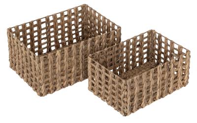 MUST Living manden 'Salvador'