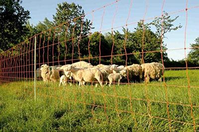Euro-Netz Wolf Jumbo 120 cm dubbelpunt