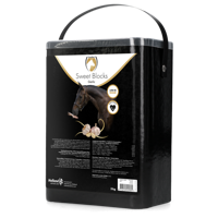 Sweet Garlic Blocks - thumbnail