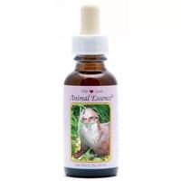 Animal Essences Otter 30 Milliliter - thumbnail