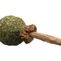 Trixie matatabi lolly met catnip - thumbnail