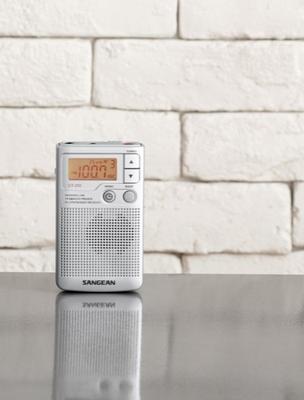 Radio Sangean DT250S Zilverkleurig