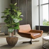 Lyrata deluxe kunstboom 170cm FR - thumbnail