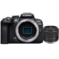 Canon EOS R10 + RF 35mm F/1.8 IS Macro STM - thumbnail