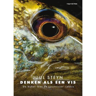 Denken als een vis - Juul Steyn - Paperback (9789083054117)