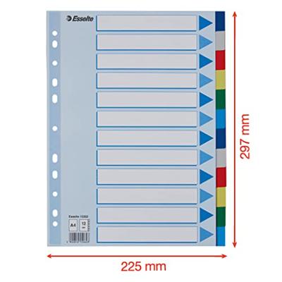 Esselte tabbladen 12 tabs