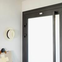 Draadloze openingsmelder Somfy Home Alarm IntelliTAG 2401487 - thumbnail
