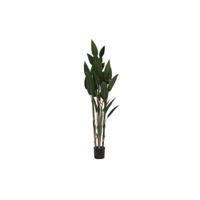 Decoratieve plant DKD Home Decor (90 x 90 x 200 cm) - thumbnail
