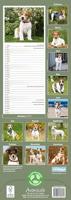 Jack Russell Terrier Kalender 2026 Slimline - thumbnail