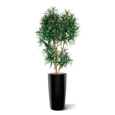 Draceana Reflexa XL kunstboom 190cm - groen