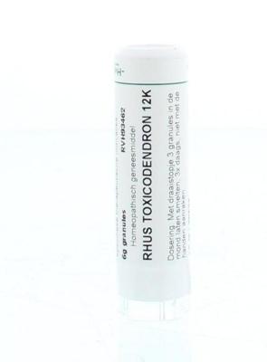 Homeoden Heel Rhus toxicodendron 12K 6 Gram