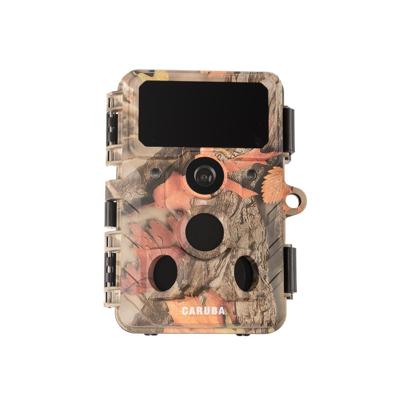 Caruba Wildcamera Moose 4K