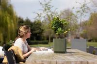 Capi Bloempot Cilinder Groove Groen Ø15cm - thumbnail