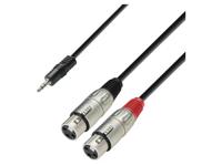Adam Hall 3 Star YWFF 0300 3,5mm mini-jack naar 2x XLR female kabel 3m - thumbnail