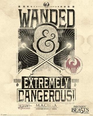Poster Fantastic Beasts - Extremely Dangerous 40x50cm