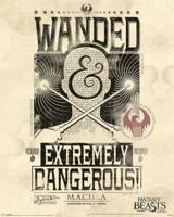 Poster Fantastic Beasts - Extremely Dangerous 40x50cm - thumbnail