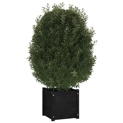 VidaXL Plantenbak 40x40x40 cm massief grenenhout zwart