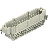 HARTING 09330242601 Pin-inzetstuk Han® E 24 + PE Schroeven 1 stuk(s) - thumbnail