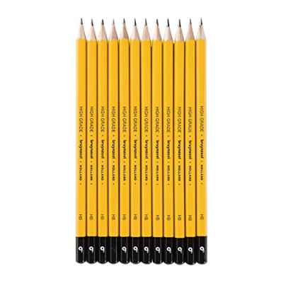 Grafietpotlood bruynzeel burotek hb grijs | 12 stuks