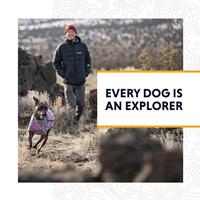 RUFFWEAR All-Terrain Hondenlaarzen (Set van 2), Miniatuur Rassen, Maat: 38 mm/1,5 in, Obsidian Black, Grip Trex - thumbnail