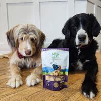 Pawfect chew yak kaas puff bites - thumbnail