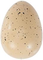 SES uitbroeden - thumbnail